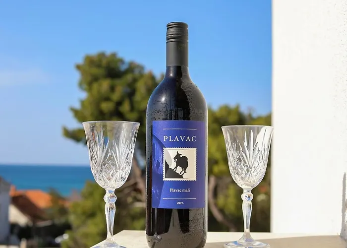 Apartment Topesa 1 *